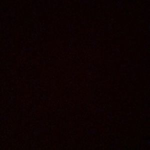 Meet your Posher, Sammy